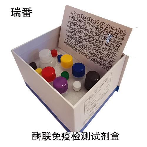 人胸苷嘧啶DNA糖基化酶(TDG)ELISA试剂盒